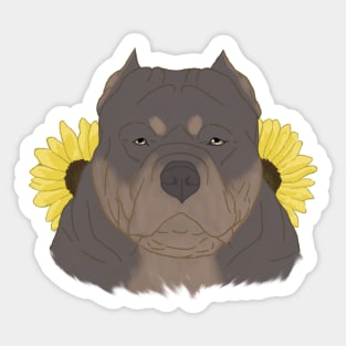 Isabella Tan American Bully with Sunflowers Sticker